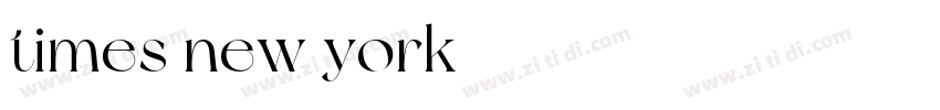 times new york字体转换